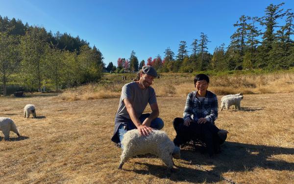 San Juan Island, Washington
