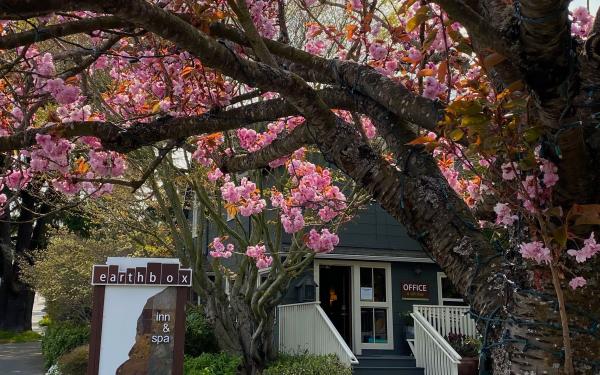 Earthbox Inn & Spa, Friday Harbor, WA