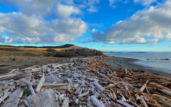 San Juan Island, Washington