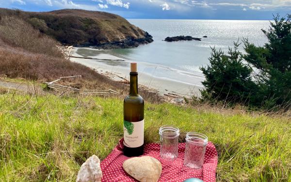 San Juan Island, Washington