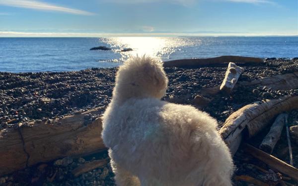 Earthbox Inn & Spa, Friday Harbor, WA