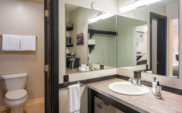Earthbox Inn - San Juan Island Washington - Earth Place bathroom vanity