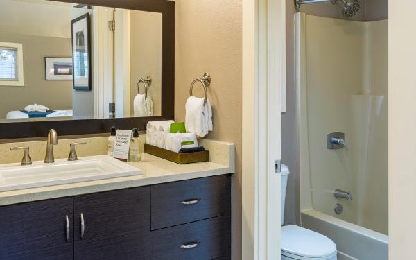 Earthbox Inn - San Juan Island Washington - Sea Place vanity and shower