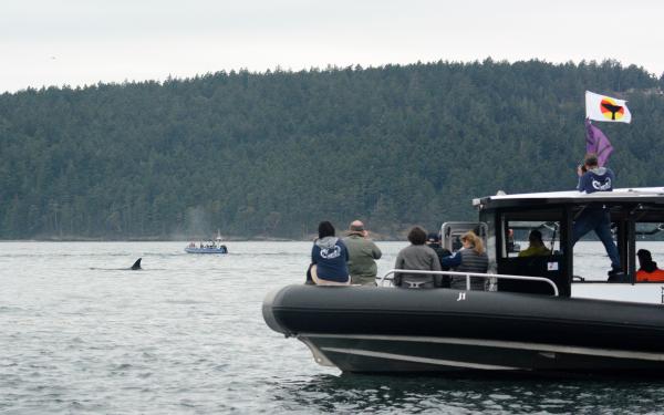 San Juan Island, Washington