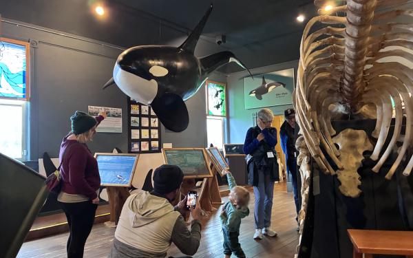 Friday Harbor, Washington