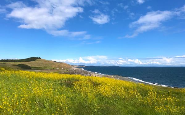Spring on San Juan Island, Washington