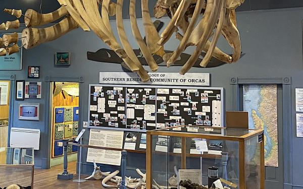 San Juan Island, Washington