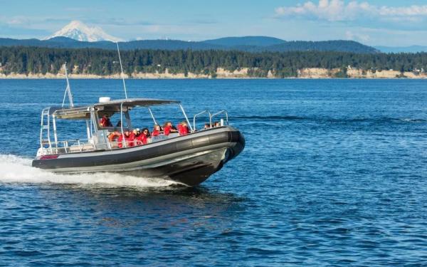 Whale Watching on San Juan Island, Washington, courtesy of San Juan Safaris