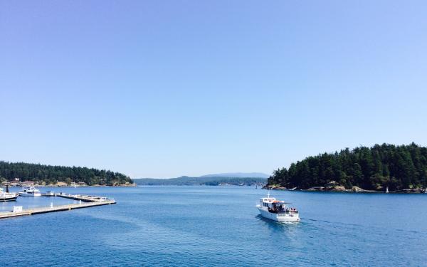 Whale Watching in Friday Harbor, Washington, courtesy of San Juan Safaris