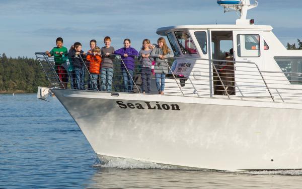 Whale Watching with San Juan Safaris on San Juan Island, courtesy of San Juan Safaris