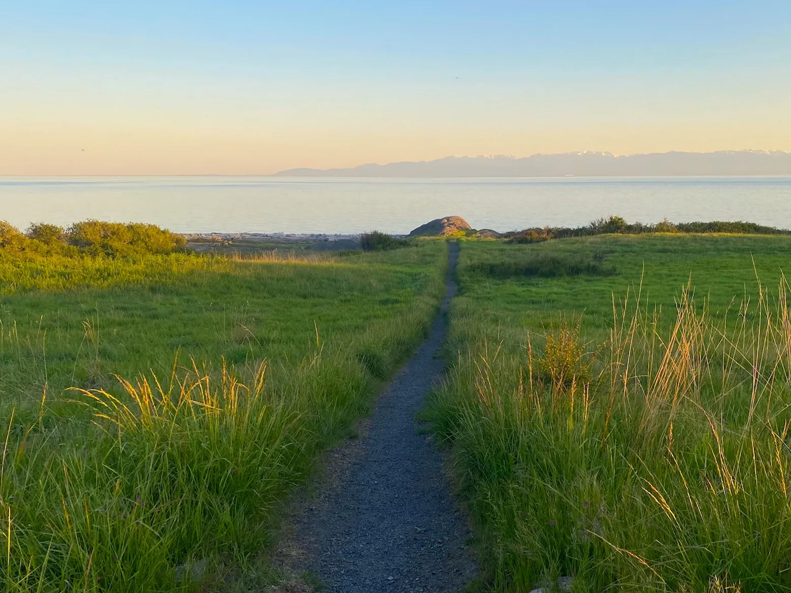 Path to the Salish Sea