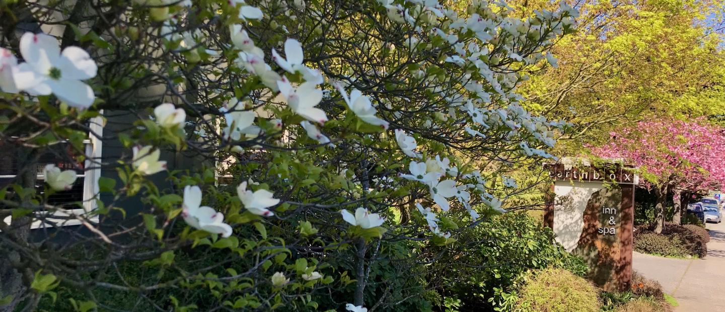 The Earthbox Inn & Spa in Friday Harbor, WA