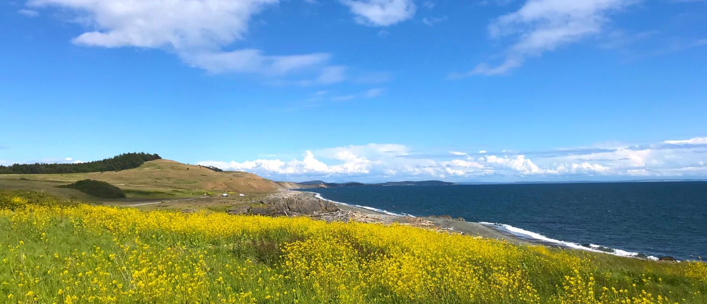 San Juan Island, Washington
