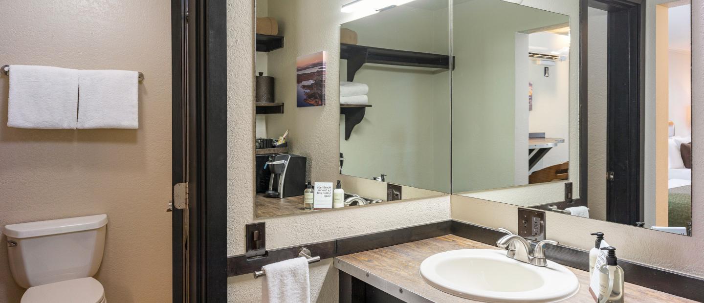 Earthbox Inn - San Juan Island Washington - Earth Place bathroom vanity
