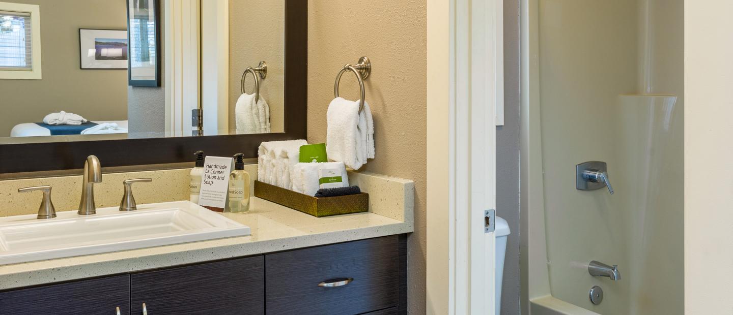 Earthbox Inn - San Juan Island Washington - Sea Place vanity and shower