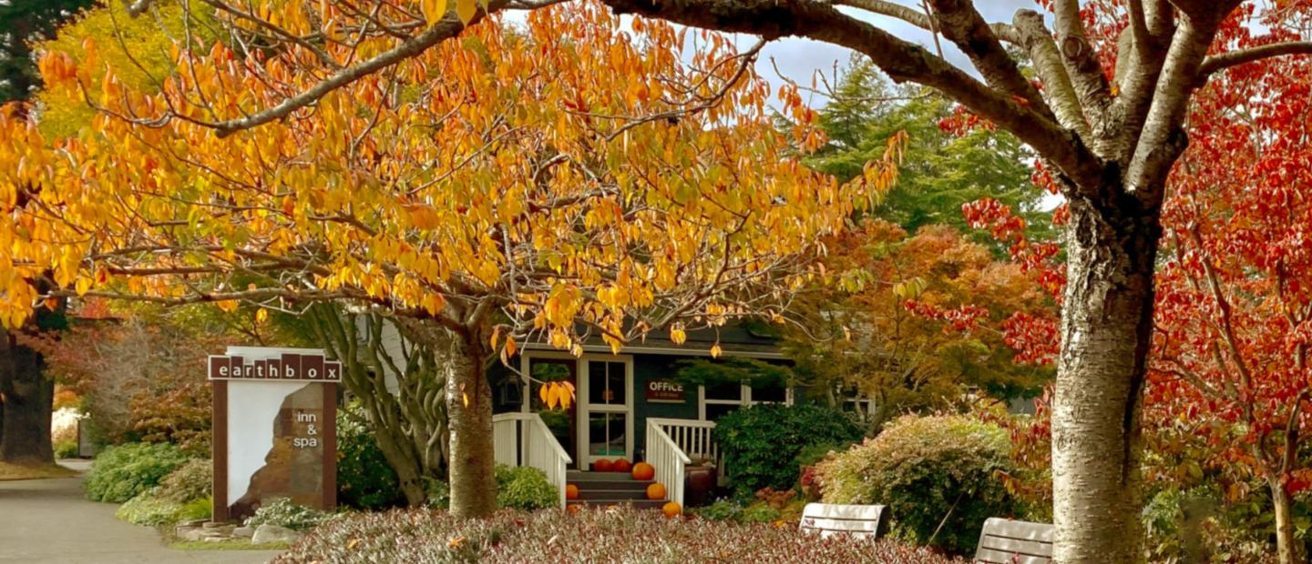 October fall sidewalk at Earthbox Inn & Spa
