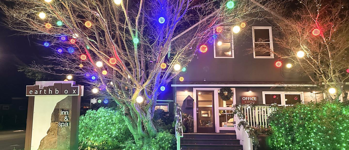 Christmas lights at Earthbox Inn & Spa