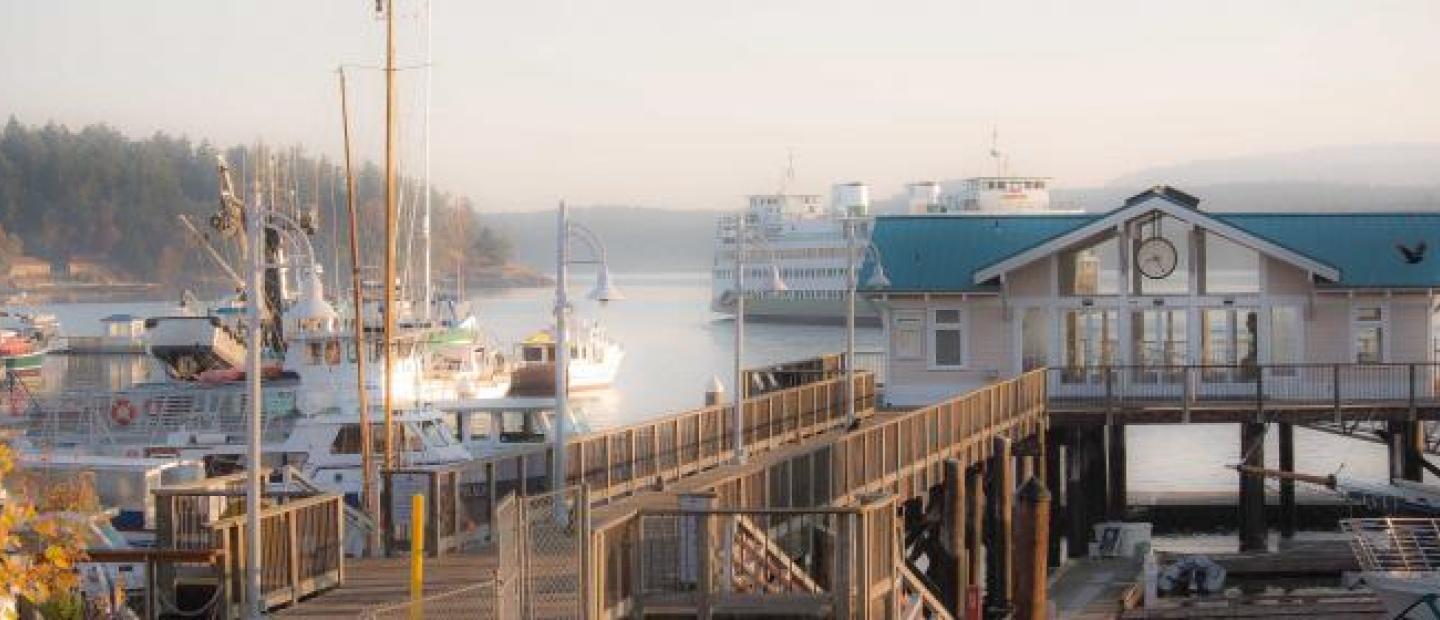 Beatiful Fall in Friday Harbor San Juan Island